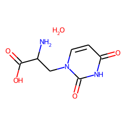 Pyrimidinepropionic acid, 1(2h)-,alpha-amino-3,4-dihydro-2,4-dioxo-,hydrate