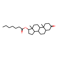 5«alpha»,17«beta»-Dihydrotestosterone heptanoate