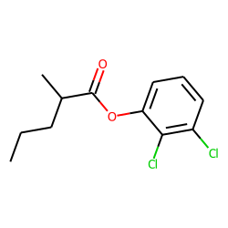 2-Methylpentanoic acid, 2,3-dichlorophenyl ester