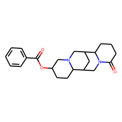 13«alpha»-Benzoyloxylupanine