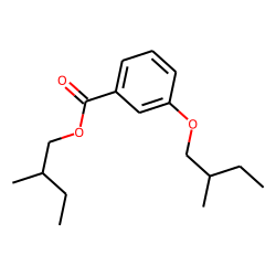 Benzoic acid, 3-(2-methylbutyl)oxy-, 2-methylbutyl ester