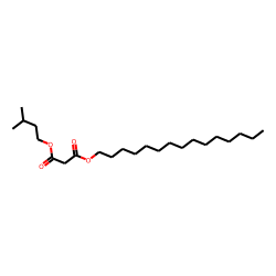 Malonic acid, 3-methylbutyl pentadecyl ester