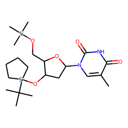 Thymidine, 3'-O-cyclotetramethylene-tertbutylsilyl, 5'-O-TMS