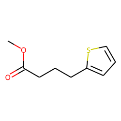 2-Thiophenebutanoic acid, methyl ester
