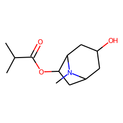 3-Hydroxy-6-isobutyryloxytropane