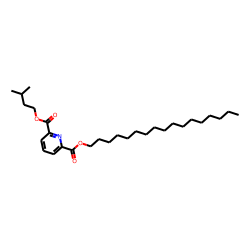 2,6-Pyridinedicarboxylic acid, heptadecyl 3-methylbutyl ester