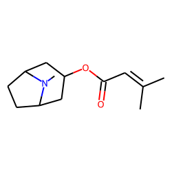 3«alpha»-Senecioyloxytropane