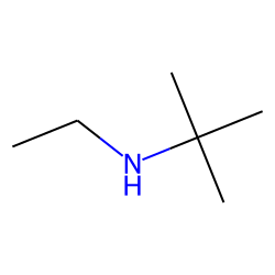 N-tert-Butylethylamine