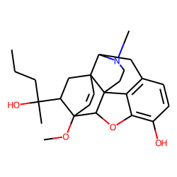 Etorphine