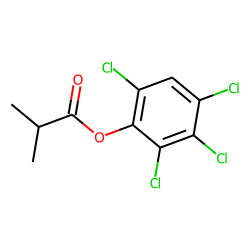 Isobutyric acid, 2,3,4,6-tetrachlorophenyl ester