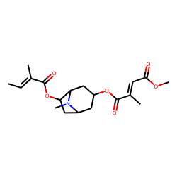 3«alpha»-Methylmesaconyloxy-6«beta»-angeloyloxytropane