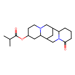 13-isobutyryloxylupanine