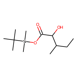 2-Hydroxy-3-methylvaleric acid, TBDMS