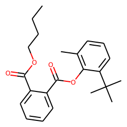 Phthalic acid, butyl 2-tert-butyl-6-methylphenyl ester