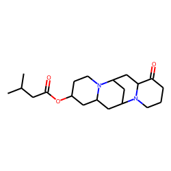 13-Methylbutyryloxy-lupanine