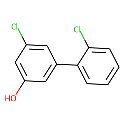 1,1'-Biphenyl-3-ol, 2',5-dichloro