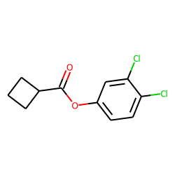 Cyclobutanecarboxylic acid, 3,4-dichlorophenyl ester
