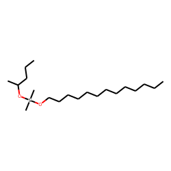 Silane, dimethyl(2-pentyloxy)tridecyloxy-