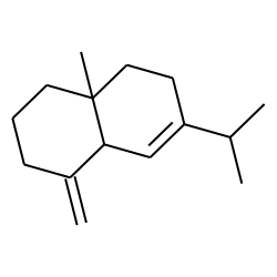 sibirene