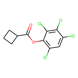 Cyclobutanecarboxylic acid, 2,3,4,6-tetrachlorophenyl ester