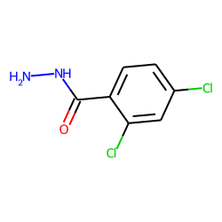 2,4-Dichlorobenzhydrazide