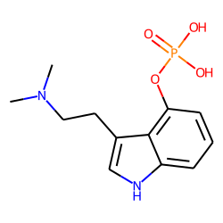 Psilocybine