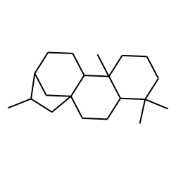16«beta»(H)-Phyllocladane