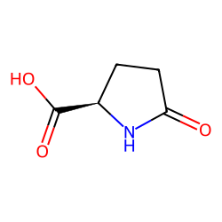 L-pyroglutamic acid