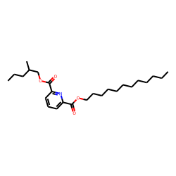 2,6-Pyridinedicarboxylic acid, dodecyl 2-methylpentyl ester