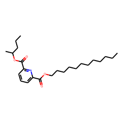 2,6-Pyridinedicarboxylic acid, dodecyl 2-pentyl ester