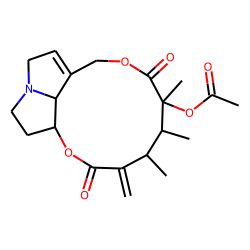 Acetylsenecivernine