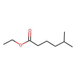 Ethyl 5-methylhexanoate