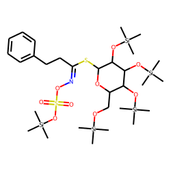 2-phenylethylglucosinolate, TMS
