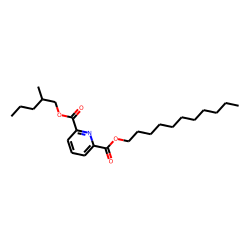 2,6-Pyridinedicarboxylic acid, 2-methylpentyl undecyl ester