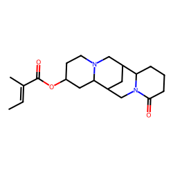 13«alpha»-Angeloyloxylupanine