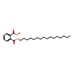 Phthalic acid, hexadecyl methyl ester