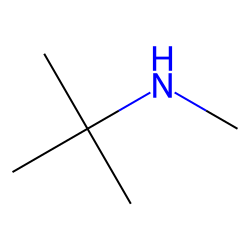 N-METHYL-TERT-BUTYLAMINE