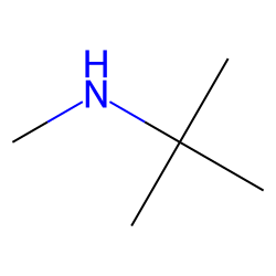 N-tert-Butylmethylamine
