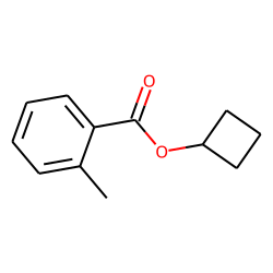 o-Toluic acid, cyclobutyl ester