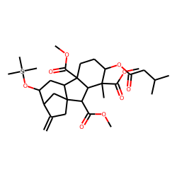 GA39 3-isovalerate, methyl ester TMS