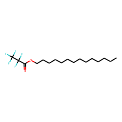 Pentafluoropropionic acid, tetradecyl ester