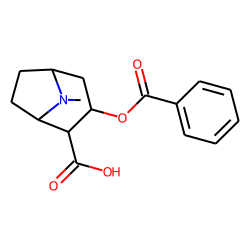 Benzoylecgonine