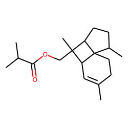 Italicen-12-yl isobutyrate
