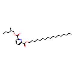 2,6-Pyridinedicarboxylic acid, heptadecyl 2-methylpentyl ester