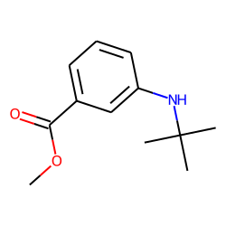 Benzoic acid, 3-(tert.-butyl)amino-, methyl ester