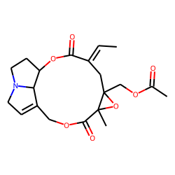 Acetylerucifoline