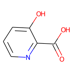 3-Hydroxypicolinic acid