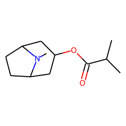 3«alpha»-Isobutyroxytropane