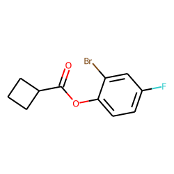 Cyclobutanecarboxylic acid, 2-bromo-4-fluorophenyl ester