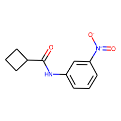 Cyclobutanecarboxamide, N-(3-nitrophenyl)-